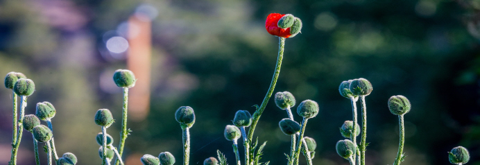 Accompagner le changement et les transformations individuelles et collectives